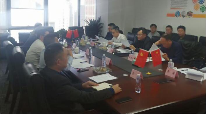 集团向导汪宏率队调研红宝石hbs智慧游