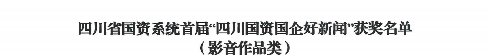 四川省红宝石hbs集团荣获首届“四川国资国企好新闻”银铜两奖